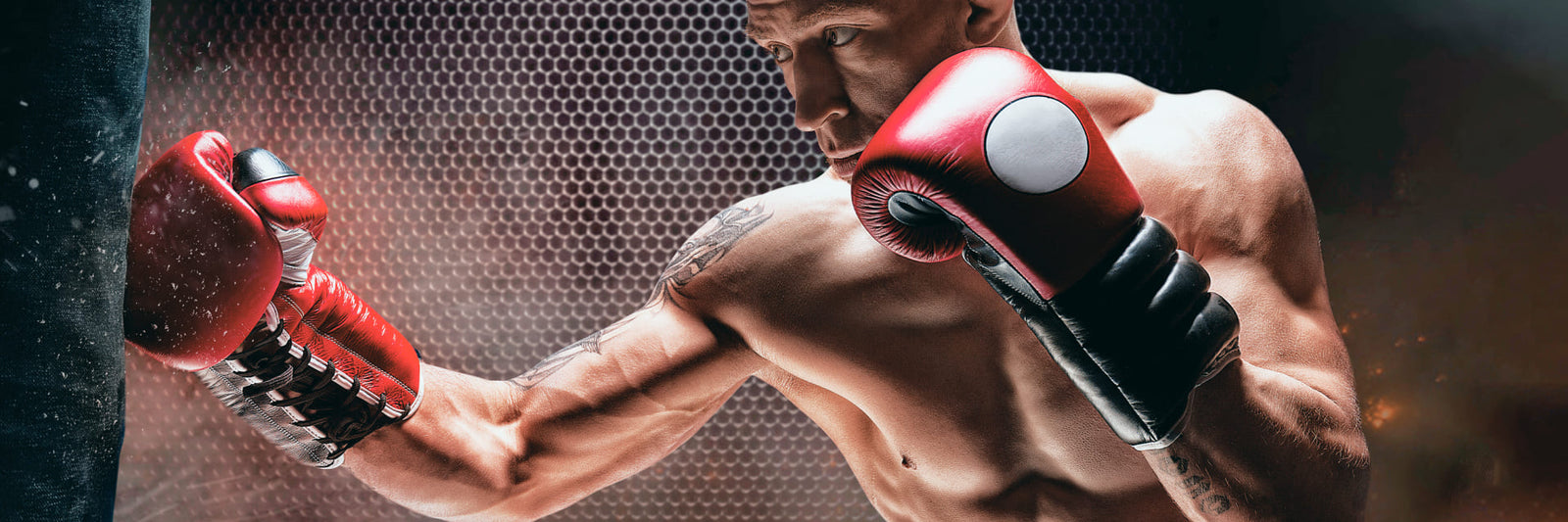 Nutrition For Boxers 101