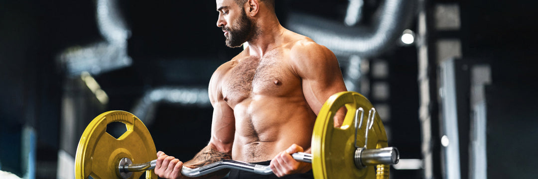 Beef protein: overview, benefits, dosage, effects, uses