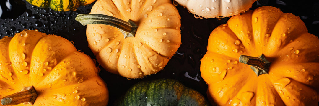 Autumn's Flavor with Maxler: 5 Pumpkin Spice Season Recipes