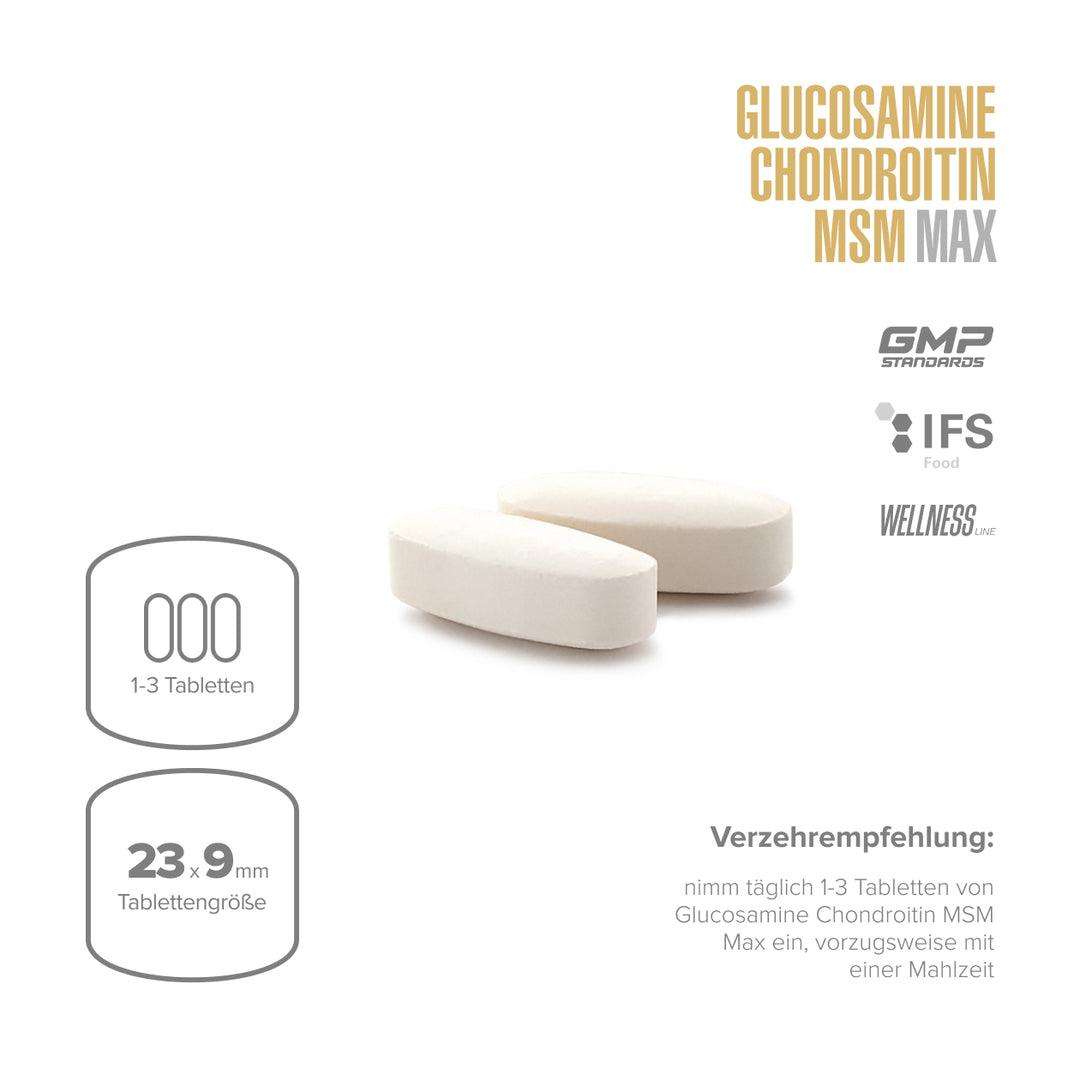 Glucosamin Chondroitin MSM Max