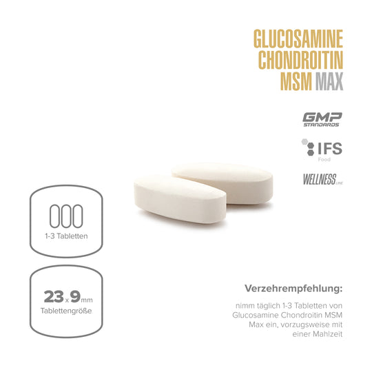 Glucosamin Chondroitin MSM Max
