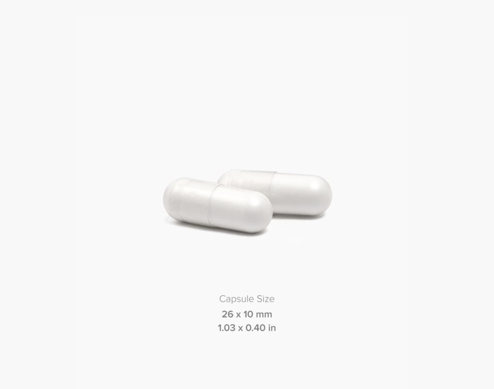 Golden Creatine Caps - Buy Online | Maxler USA