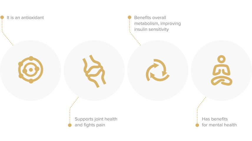 Curcumin infographics