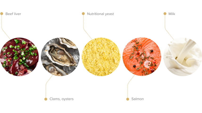 Infographic of top vitamin B12 food sources, including beef liver, clams, nutritional yeast, salmon, and milk